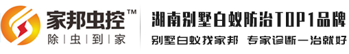 成功案例-长沙白蚁防治中心官网｜长沙白蚁防治公司｜长沙灭白蚁公司｜长沙灭鼠公司｜长沙白蚁防治所