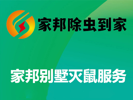 家庭别墅灭鼠