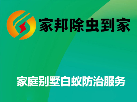 家庭别墅白蚁防治