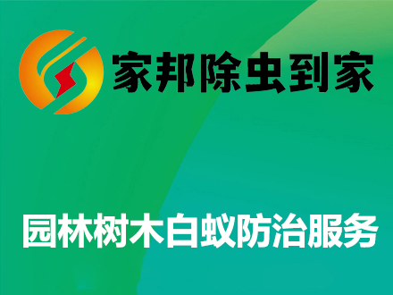 园林树木白蚁防治