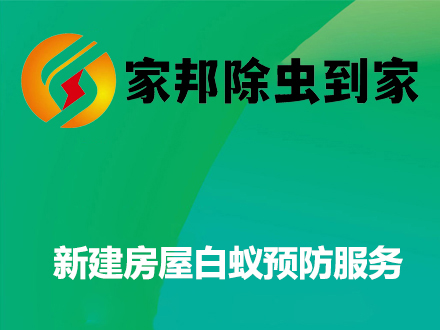 新建房屋白蚁预防