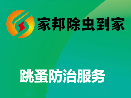 跳蚤防治服务