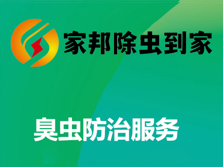 臭虫防治服务