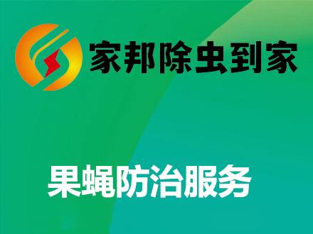 果蝇防治服务