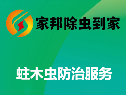 蛀木虫防治服务