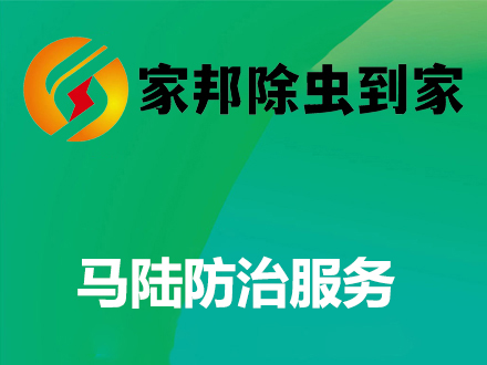 马陆防治服务