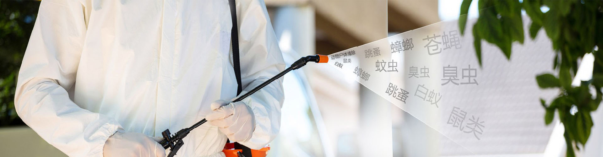白蚁防治服务
