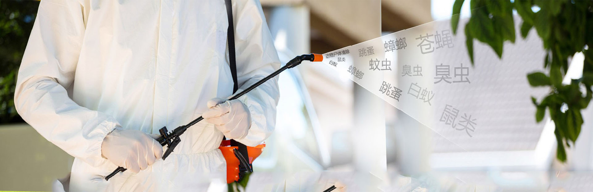 家庭灭鼠除虫