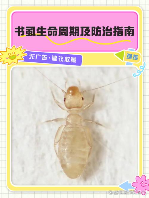 书虱成家中常见害虫？了解其特征与危害，速来防治