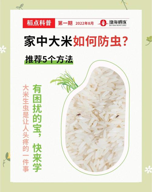 家庭储粮常见米象虫害，了解其特点及防治方法可保粮食安全