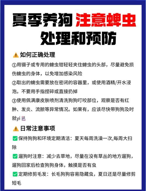 蜱虫危害大！防治蜱虫害，这些有效方法你知道吗？