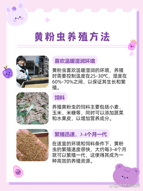 黄粉虫——小小昆虫，如何撬动优质蓝海产业？