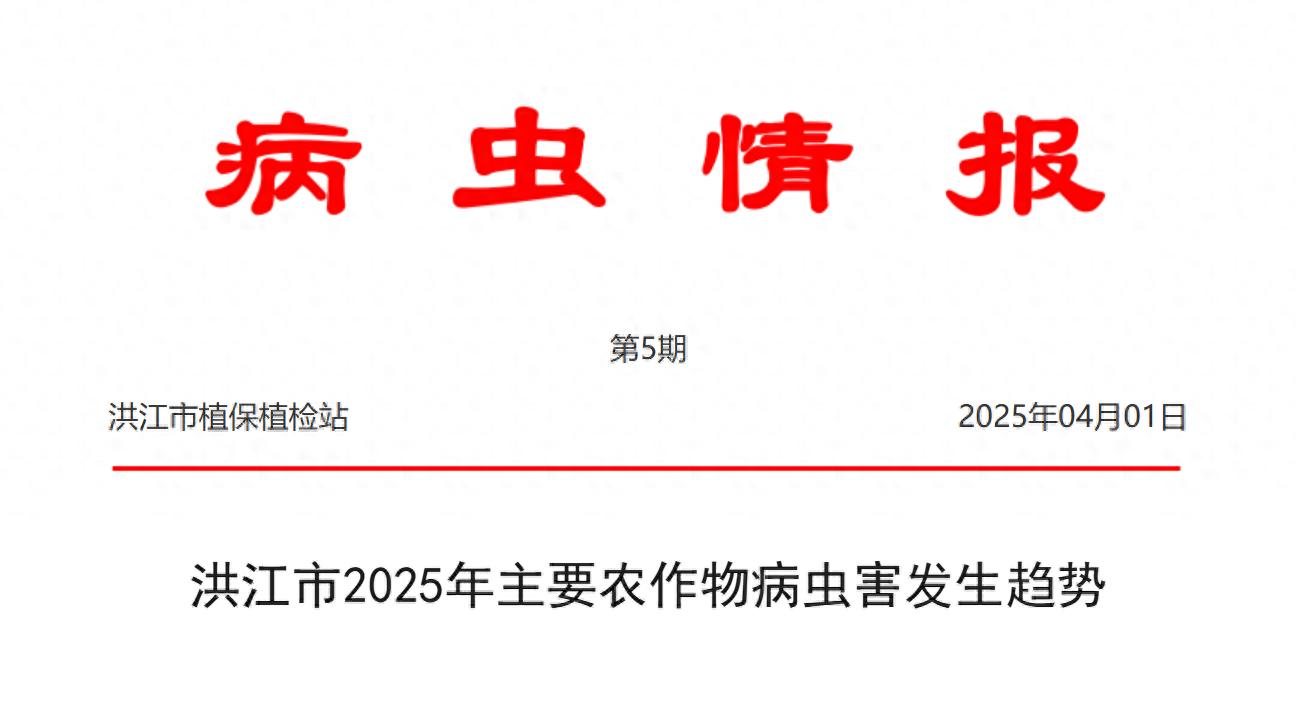 洪江市病虫情报 2025 年第 5 期：主要农作物病虫害趋势？