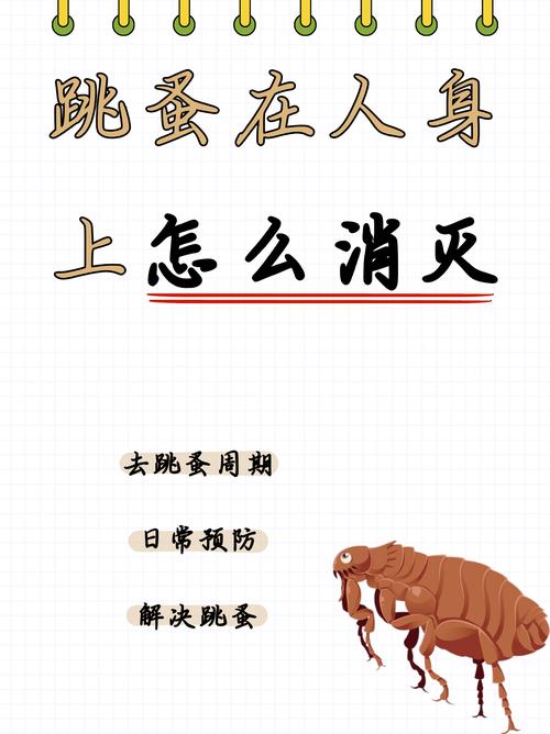 人身上有跳蚤该如何处理？这些方法要知道