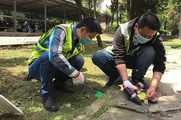 有害生物防制：蚊虫综合防治策略你了解多少？