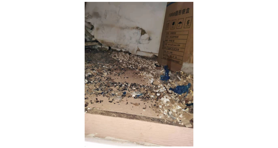 快速灭飞虫方法是什么？上海荣帮虫害来供应