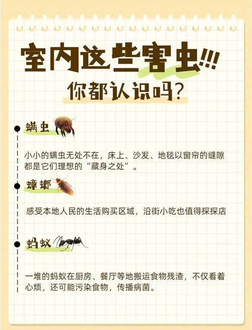 家蝇害虫危害大！传播病菌还扰人，如何解决需知晓？