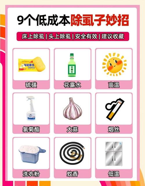 虱虫害常见侵扰家庭，分享实用防治办法，教你如何识别