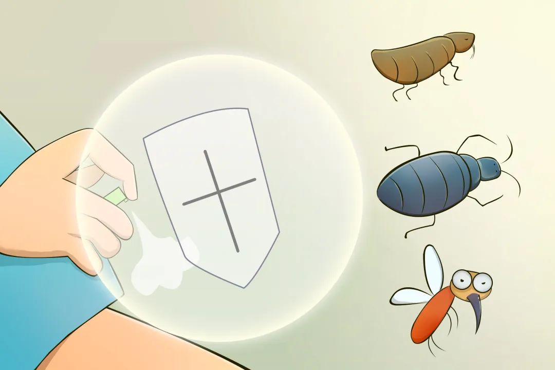 夏天防蚊蝇指南：3大有效方法，教你彻底摆脱病媒生物侵扰