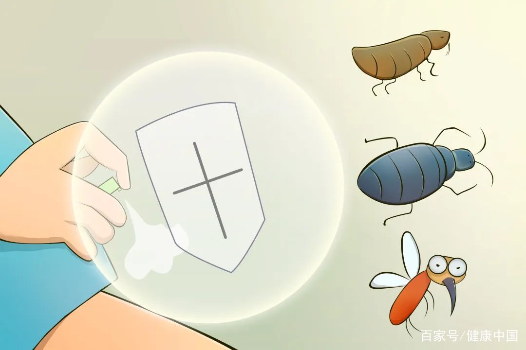 夏天防蚊蝇有妙招！爱国卫生月教你三招，轻松远离病媒侵扰