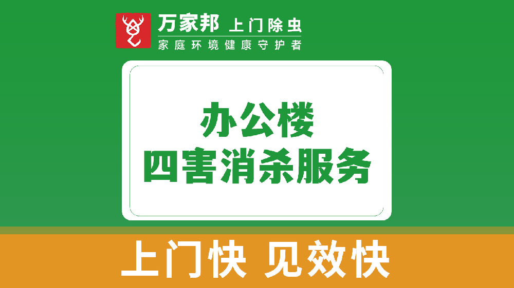 办公楼四害消杀