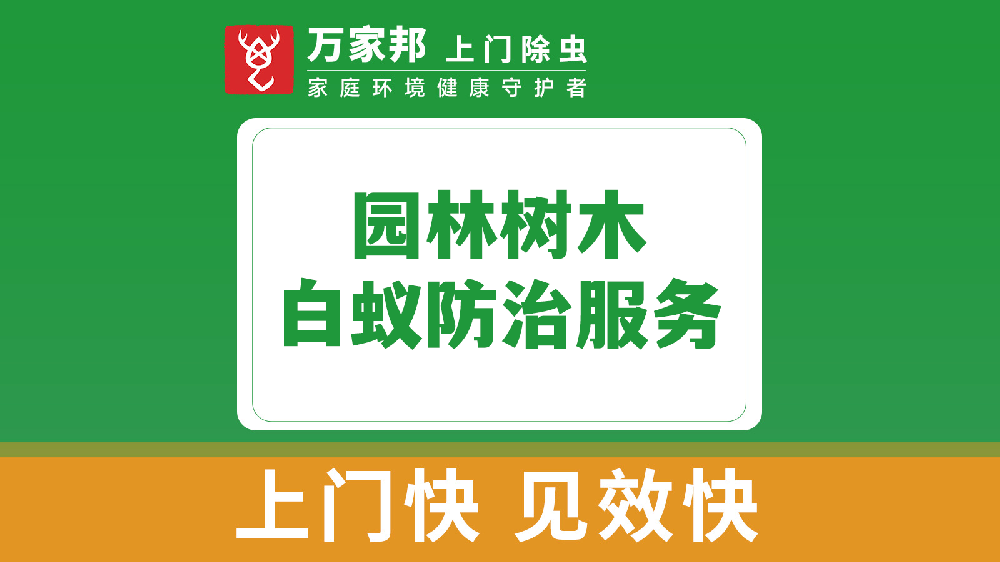 园林树木白蚁防治