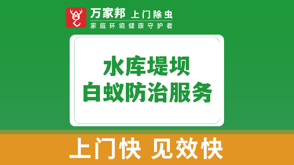 水库堤坝白蚁防治