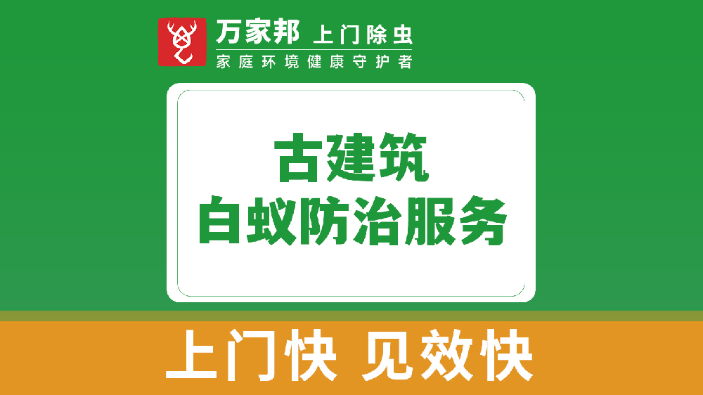古建筑白蚁防治