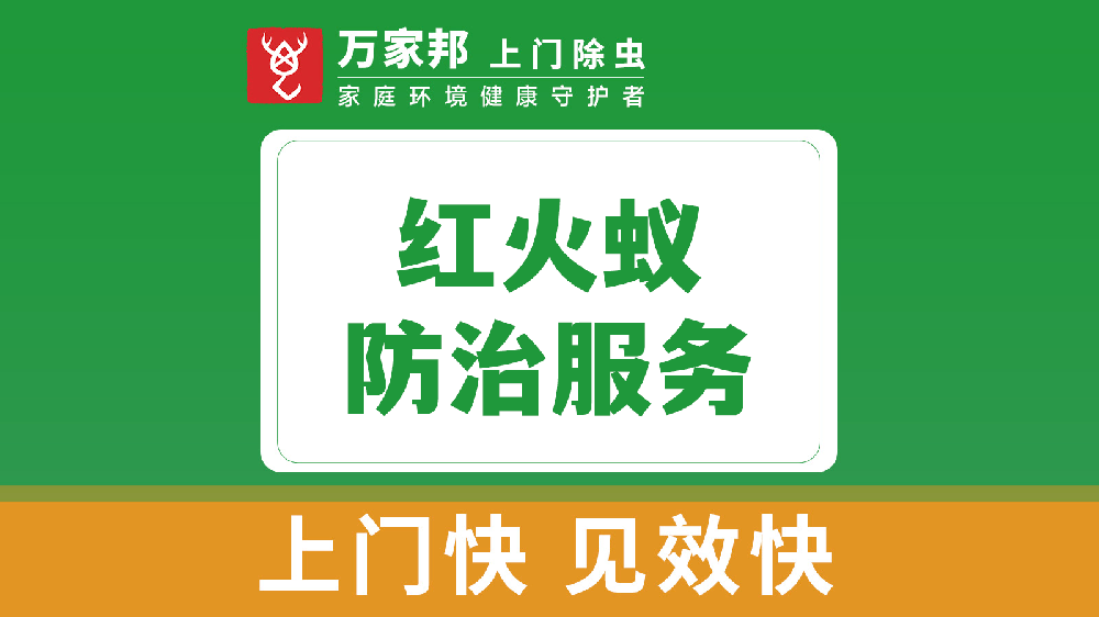 红火蚁防治服务