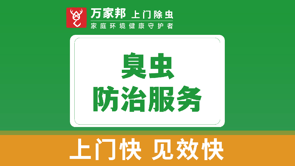 臭虫防治服务