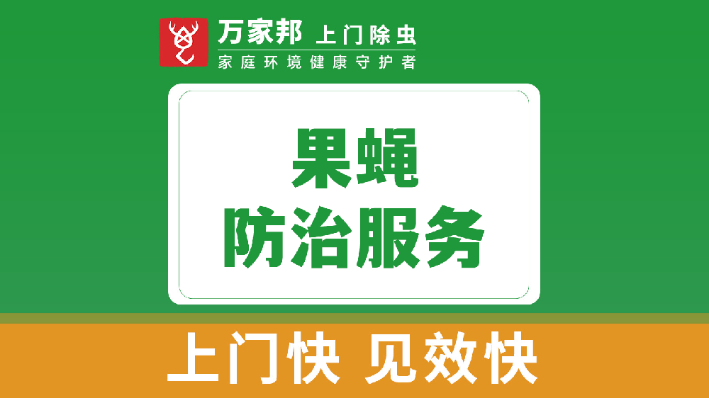 果蝇防治服务