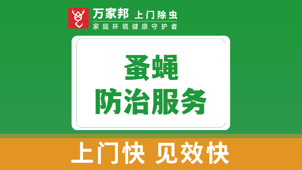 蚤蝇防治服务