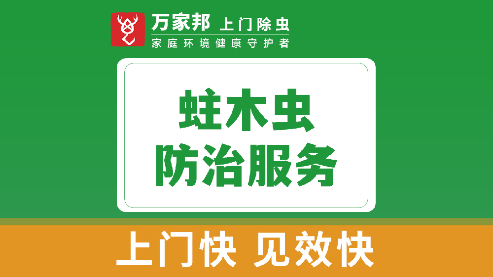 蛀木虫防治服务