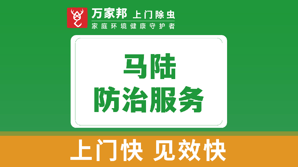马陆防治服务