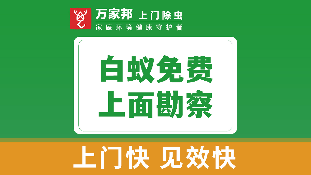 白蚁免费上门勘察