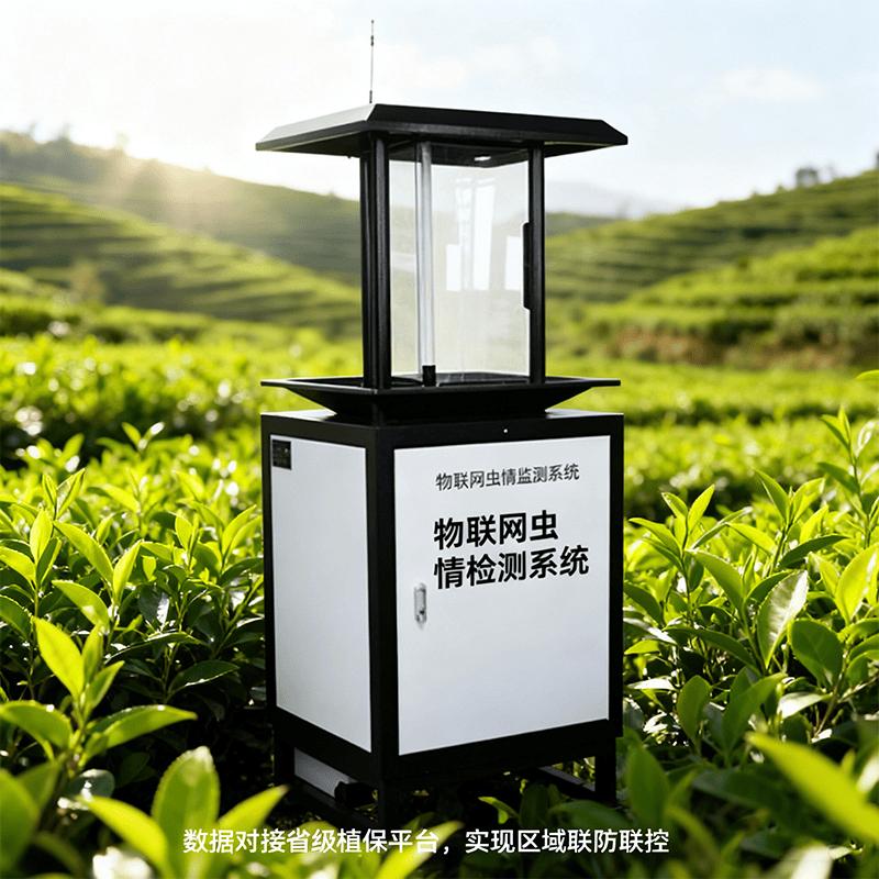 黑菌虫虫害_物联网虫情检测系统_智能农业_精准虫害监测