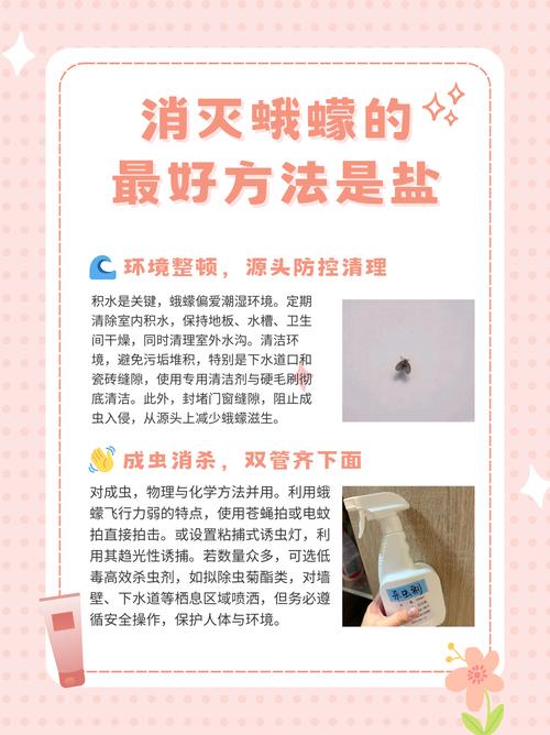 蛾蠓虫害防治怎么办？实用管理技巧培训课件分享