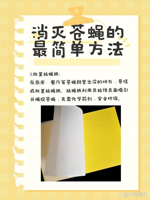 家蝇虫害防治指南：识别、预防与根除的有效方法